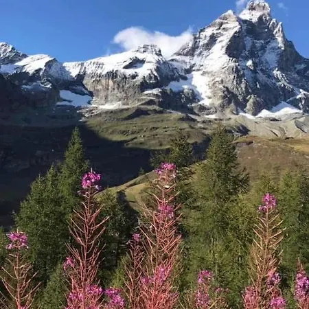 Maison 아파트 Semon