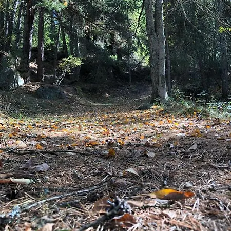 Maison Apartamento Semon