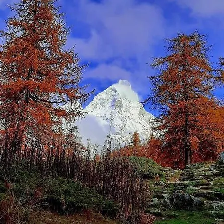 Maison 아파트 Semon