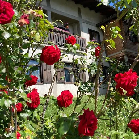 Maison 아파트 Semon