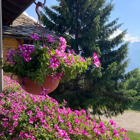 Maison Apartamento *