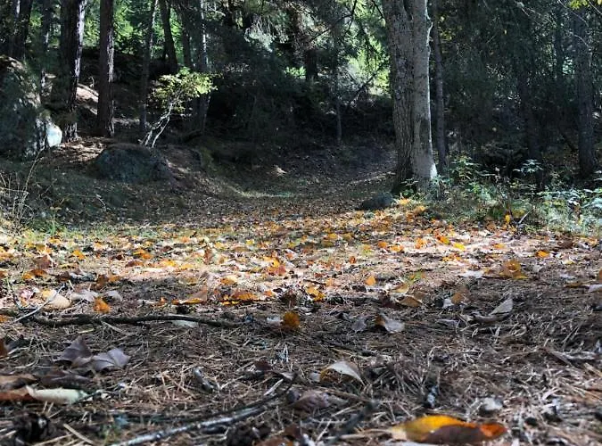 Maison Apartament Semon