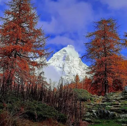 Maison Apartament Semon