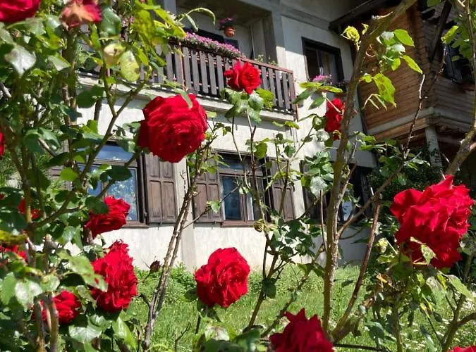 Maison Apartament Semon